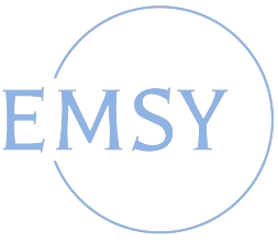 EMSY - Amazon Brand Management